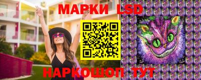 spice Донской