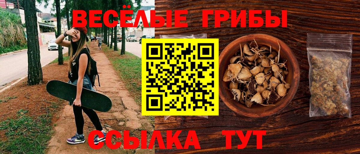 Галлюциногенные грибы Psilocybe  Вход с VPN  Минусинск 